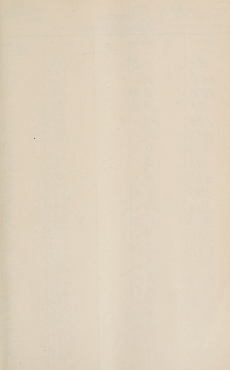 and In, ‘ind ee ees el) ) . oe ae: SUES q Goatees: ee a - ‘ a y pn iy “an oenaiet onan ri ae si us : ; } :   - a 4 pees) A ote are ihe = eh : 2 : ta a a ‘ se nr ve : t ninth - ae} Ora ~ ' es an iS be) &lt;a a aaa n yy % 7 ms \ uy qo ¥ i  iia % za a M - y Nh ;  iF Pag: ~~. yo? ie “a ‘4 ee | ee. Bs a * - ' 7 nF } a aren % may eS tae om nD b i} : ms sD Vs ‘ ” oy , a ROR 5 et a 7 . Pe t ws b 7 * y ] mola he ws 4 ot ae all eA \ + &amp; y oe A ; pee 4 ‘ ~ 5 t 7 aa ae a ih ' i i - rs uw 44 f y 4 » ~ ey ” A 5 I i;