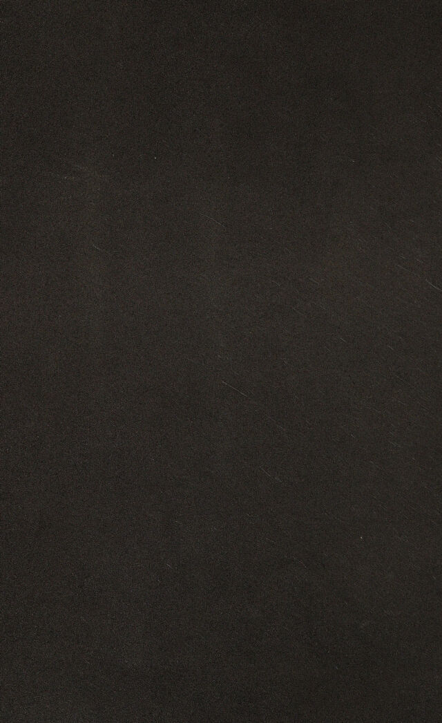 digitised image 2