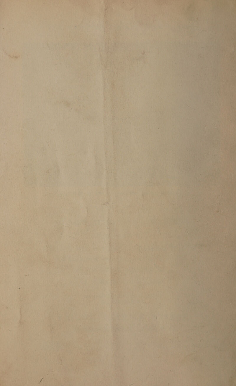          \e ao F ‘ { iv at “4 ’  ro 5 ; 1 « 4 i Ww ’ a&gt; eds) : F AO, : ea tay’ ey se t \ n Ce te \ Ai a c oe a &amp; ‘ Rau ee : * ' Ay t 1 M) \ , H ° y i t ¥ y é ‘ « n , 1 f “ ’ “ied i ee, ; ‘ ~ 1 i 7 ~ i { ie iy ; ie 4 } ’ ST  r F if é - ec a. * it  fy 1 c™ P { i | y 1 . \ y H + * - t i fay MK uo - nl ' mies S he “ ty ‘ ° ! + § } Bis &amp; ih re ase ais a uy , J 7 7 ‘ i ~ i, ei a \ ‘ “ + ie f = » a : rt . * a ® a3  &amp; et . 7 °