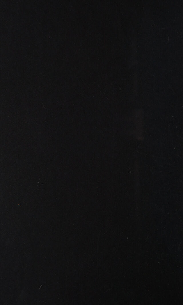 digitised image 2