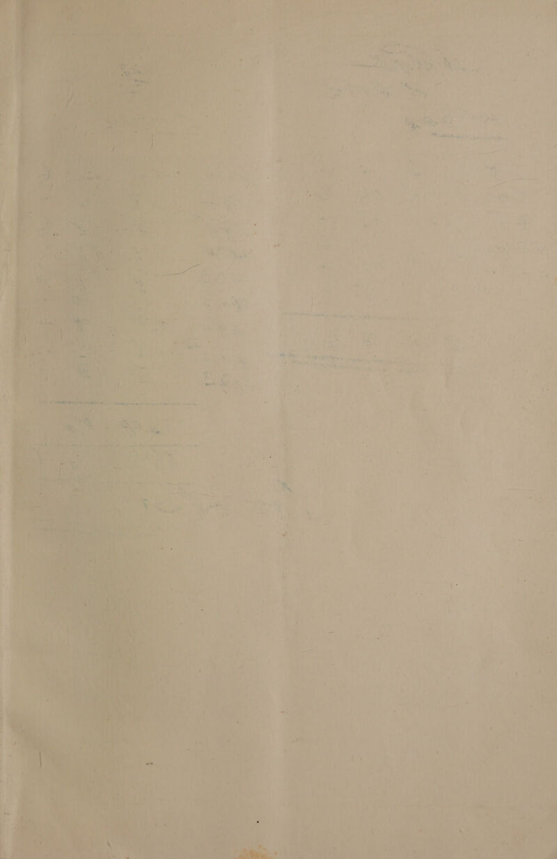           * a: - ‘ 7 ‘ 7 ‘ a  £ Paras F Se eek - ae 7 . : a suse en : : dai 5 st fe | i | % ri e 4 j L- ‘ ’ A z oe : ~ i