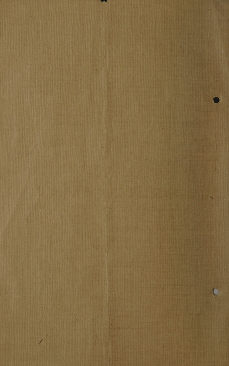 vanes! om rare ; A ante ierhibal cakesatidh al y eer ee ei Rr ae, fe tew seahaien adhd eee eae hee D a age Cl ee hess ‘s op nt tn” Bm A> ye PE Dace SG > - p enn eo ate Kear RS PNR sa Saye ger perpen tener ey SA LO ae dete Sy eH Res ee ee ee a ee ee ee te eS he iS, ~ Dorie wey pene etad tasers KN ath ore * PAGO yp thamulhe ——: ” res hae ae em ing = mal A geet lt : ~ Saad ve a AD = eg ee ee ee Oe int 4  er ee ee oy — » tar tow a ° Tapert wo Wt arte ow 1 ee eee Pkt bd nt tee die! bad