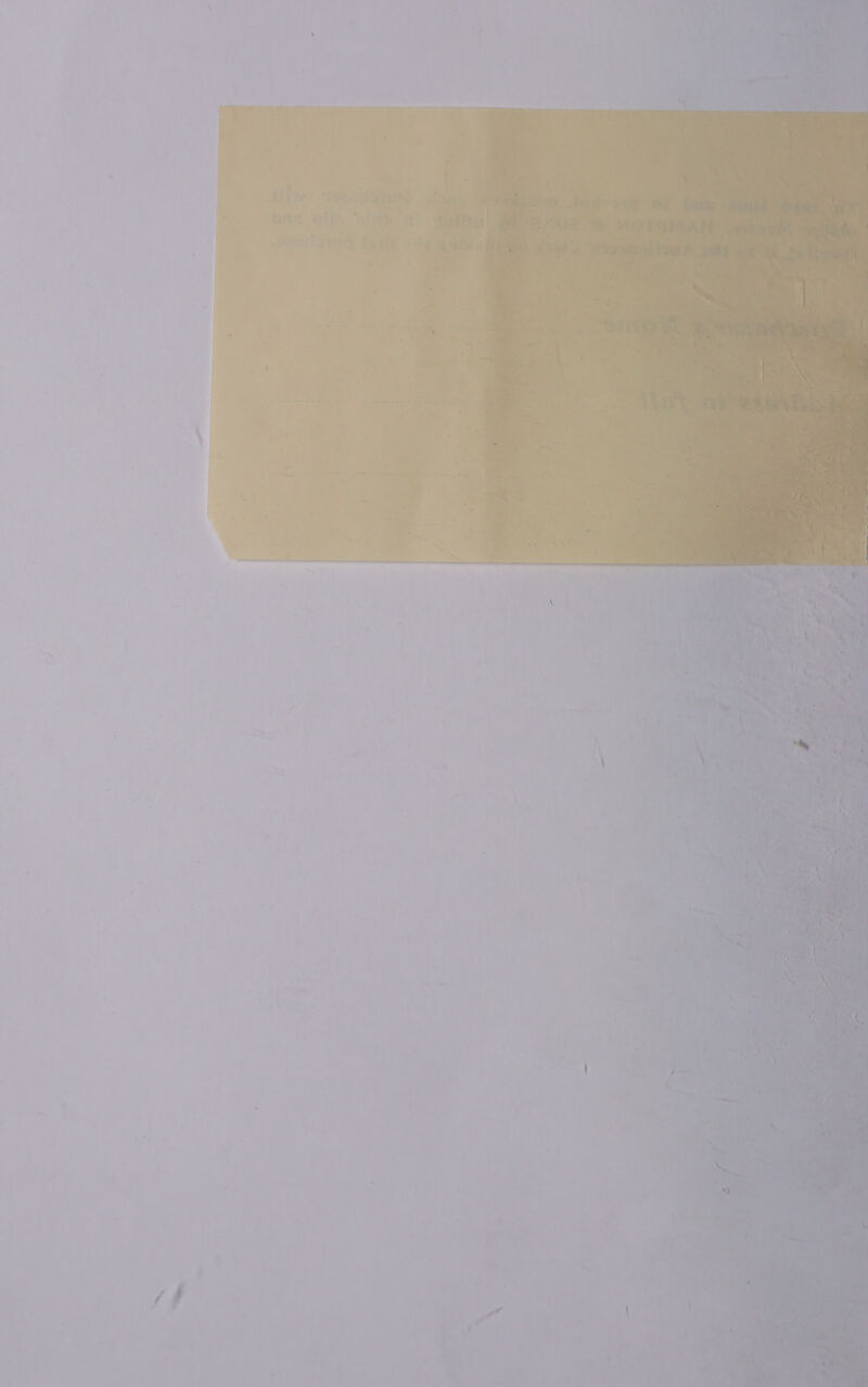  ‘ , ; ¥e ‘ f : 4 é \ é X\ ? 4 : ee : a i ets ‘ / ; ; \ i er. 1 VW, \ | t xr : “AS ay y 4 ‘ \ ‘ Shs y. te y : ‘ ra i \ a ~ \ . re ¥ 7 \ ’ a — ¥ -~ 3 ; P