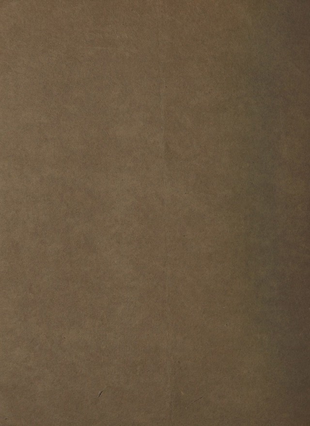 digitised image 2