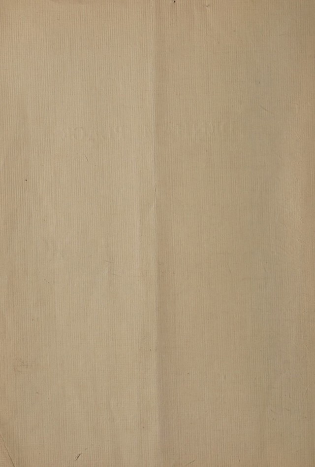 digitised image 2