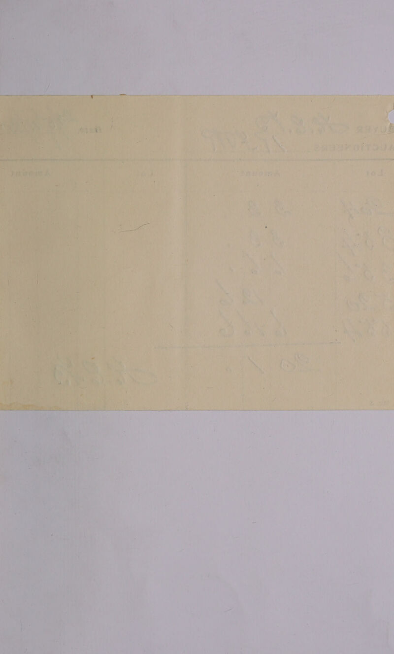 ee. © ; + } PSTN Po at nae omy aA rae SE ty me *e bined at Ny ~ nae ay ins j ert re 2) Fe Dt tea hie ee Ot Re We ag Aa Be me Bs, Pa he on Pilg A Mae MP ee uk ree Ie, 3 \ see    A : : Fee 3 eo avez” sod). ; - ‘ j } , : 4 A ' 2 i? ey : f a 4 v4 + * ; bes é ip. ea) 4 g Ch aK): : ee P He Bea, j m spa ee “ee Sih le id ’ ey rae ; ¢ * 1 2 Cel ihe E gh ( as )  7 : 7 i 4 ( F 7 f ’ v ‘ ” ™ 4 a, de us . ¥ i iva \ , r ’ i M, ee * * ‘ § ‘ i * * LA + t 4 4 - iM » / Vs ety j * © = ‘ ' “ i hi ; . i t ae Ay Lt fle 7 tl oi Ga i X ; 4 ’ “ eh es a4 a, J Frm Keg 4, he , . ; { i i ' hy j ; &gt; rt x ‘ ir » x, * i 4 te DEA he 4 re i 4 %y &lt; ys oy a be ror ee a ie, » 4 \ 0 al , mi ae it: i SY) Gnidia { ) i Mi a, SR Wa Oa en ort Sh ies Fle ¢ Wl , ay ' | ry ‘ Peueere Ate ae ; 1 ban A A) 5 ones ‘ eau Cytpadpepe Copy Cake (® ¢. sha mh ae 6S oh abe ‘ mf : , ' ’ 5, eae. SS Tee b ; tte i. 4 ; t bi oo b J t a : H ‘ ws Bs AS, x: ,  4 rey i Uy dh ‘, f ‘ae ‘ an J t : ti f rae a ? ‘ ua ' i 2 Ara Ki a a} Se. y : eek taaa is ni . een) { = —_ &amp; +f at ‘ E 4 4 : i £ 3 i ‘ Loe ae : ‘ ee i ae: VW i Briss x | SU etl a