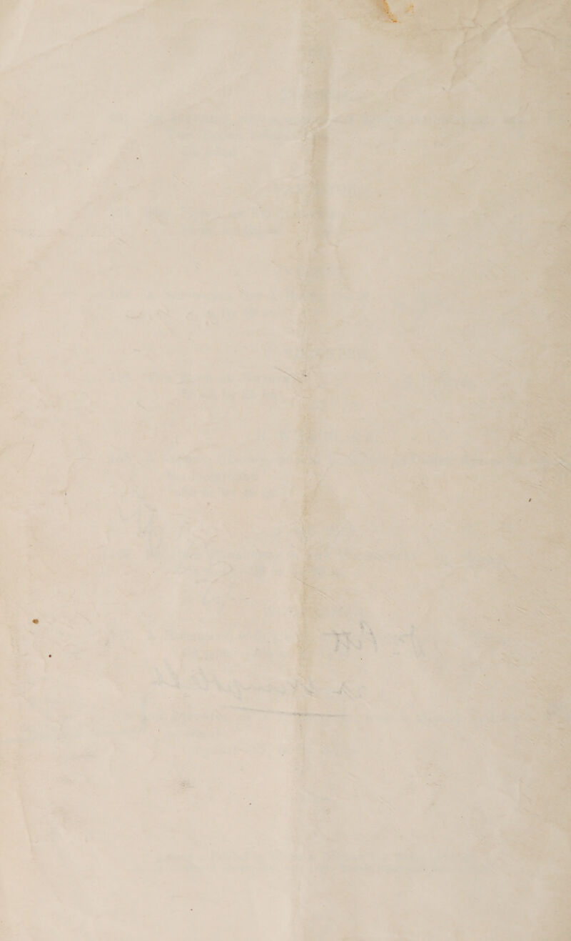  Aol 5 - rc % / . . ¢ 5 ; ie t - . ‘ - - \ i | 9 = = “ee 4 ¥ o J ’ Thr. ~ yal - 4 * : : ; d } e 2 %; * «, ‘ : of MP Ae “ ree ¢ . . 4 Sm, ae » 7 é 3 , ras i ‘<< : — - 4 ae J - he j oye A 2 ee Gait eae ME pall ee | ee , ine   