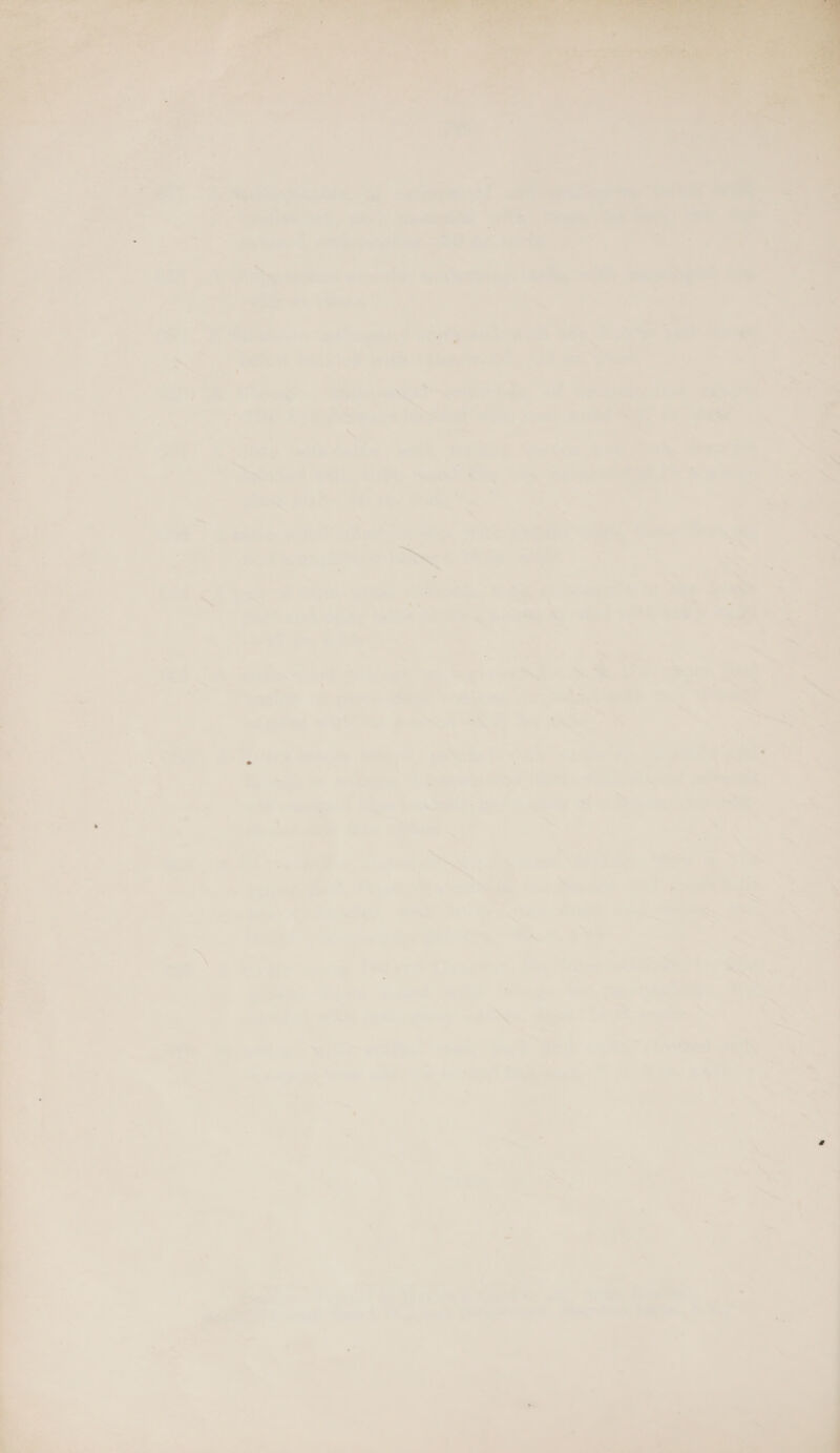     pack on eslulee wenn > ‘ Wis 5 ai .. lgews % _ - ‘ J ‘ ae to? O58 Se we agi fetid , mee 7 7     a ee” Tein ee a Ee ie a ir = ; - ls 3 aac hr ee ae wr u my: a ae eats a. ce et ee Siw « eye or a ee ae 2 : ; 5 q a ; oi” &amp; ee Sethian a. wl 7 de ay a — ek. Mesa é 7 : : : Ta ar e3eee) LUN. rao 2 “a. ve psa Pe eas,   : ‘ 7 : < ah S 1 - ey : oa : . - = = “i : * i A Pe . cava ie rr ; a7 iF ,ail Ss é =» § 7 7 cs . a ai et x _. @ . y 7 “ 4 he » , 7 a > ~ i > ~ 7 7 7 ae * 7 << . 4 P > ae , = — ws =a) _ © =  a ; . - i a 7 iy wd . - ~ = . > ue e &amp; f ; - oe ; pal J r .  * Se * 7 ~~ ‘ x “ ‘ s > &amp; ¥ ¥ PP _ - = aa ” . . > 