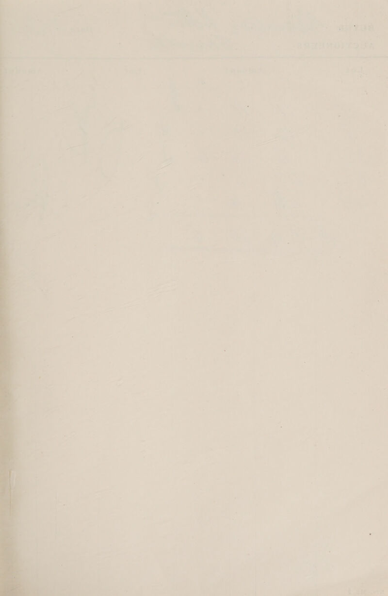 a Ue a) ed . 3 pe ae - ¥ 4 one ne ‘ : ~~ 2 pe et ee ¢ ¥ : aa 5 -—-- + * » a ~ a . » = ° fe Es - j 7 = « + ~ — car : \ } 7 er ; 7 tad b Sa ; H am = > 7 os i 4 A = ™ a Pe q \: en - e % . ‘ of 