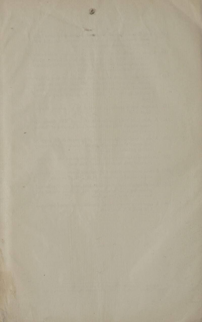 hanes et ae ‘a it vives bye: at tua a .% By 1 (A ST ei: Haie Seon can tes 7 - y Ba! My : ~ Wit = ‘AN Nes ae Vi. : es fj e be ne 4 5 