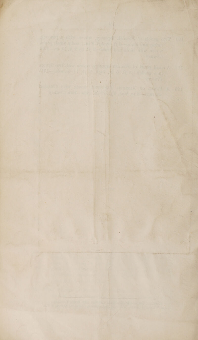 ov  St y ‘ Td &gt; Lene PAP HES hb a ay feaiox, . OES Ser RR eae, 121 e | ? : e pasts a te, ‘ ity ei Ae on, 2 oo yo é ie ho) ae ; At ee , ; ‘ . f ane a * ee ; N =f . a as a a he : , % ran by ‘(ae a . -_ * 4 “aN | ee ry ae |: SANS  mie’ “4 av’ f oe i care aes ae ‘ : My  