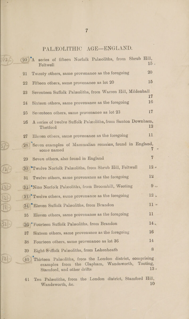 PALZOLITHIC AGE—ENGLAND. (209°A series of fifteen Norfolk Palseoliths, from Shrub Hill, “™ Beltwell 15 . 21 Twenty others, same provenance as the foregoing 20 22 Fifteen others, same provenance as lot 20 15 93 Seventeen Suffolk Palsoliths, from Warren Hill, Mildenhall 17 24 Sixteen others, same provenance as the foregoing 16 25 Seventeen others, same provenance as lot 23 L7 96 Aseries of twelve Suffolk Paleoliths, from Santon Downham, Thetford 12 97 leven others, same provenance as the foregoing 11 28. “Seven examples of Mammalian remains, found in England, some named T » 99 Seven others, also found in England a (80) *I'welve Norfolk Palwoliths, from Shrub Hill, Feltwell 12+ 31 Twelve others, same provenance as the foregoing 12 32 *Nine Norfolk Palzoliths, from Broomhill, Weeting ge 33) ’ Twelve others, same provenance as the foregoing eee 4 84), *Bleven Suffolk Paleoliths, from Brandon EL Se 35 leven others, same provenance as the foregoing 1l 36 * Fourteen Suffolk Paleeoliths, from Brandon 14. 37 Sixteen others, same provenance as the foregoing 16 38 Fourteen others, same provenance as lot 36 14 39 Hight Suffolk Paleoliths, from Lakenheath 8 40) “Thirteen Palzoliths, from the London district, comprising ~~ examples from the Clapham, Wandsworth, Tooting, Stamford, and other drifts 13» 41 Ten Paleoliths, from the London district, Stamford Hill, 