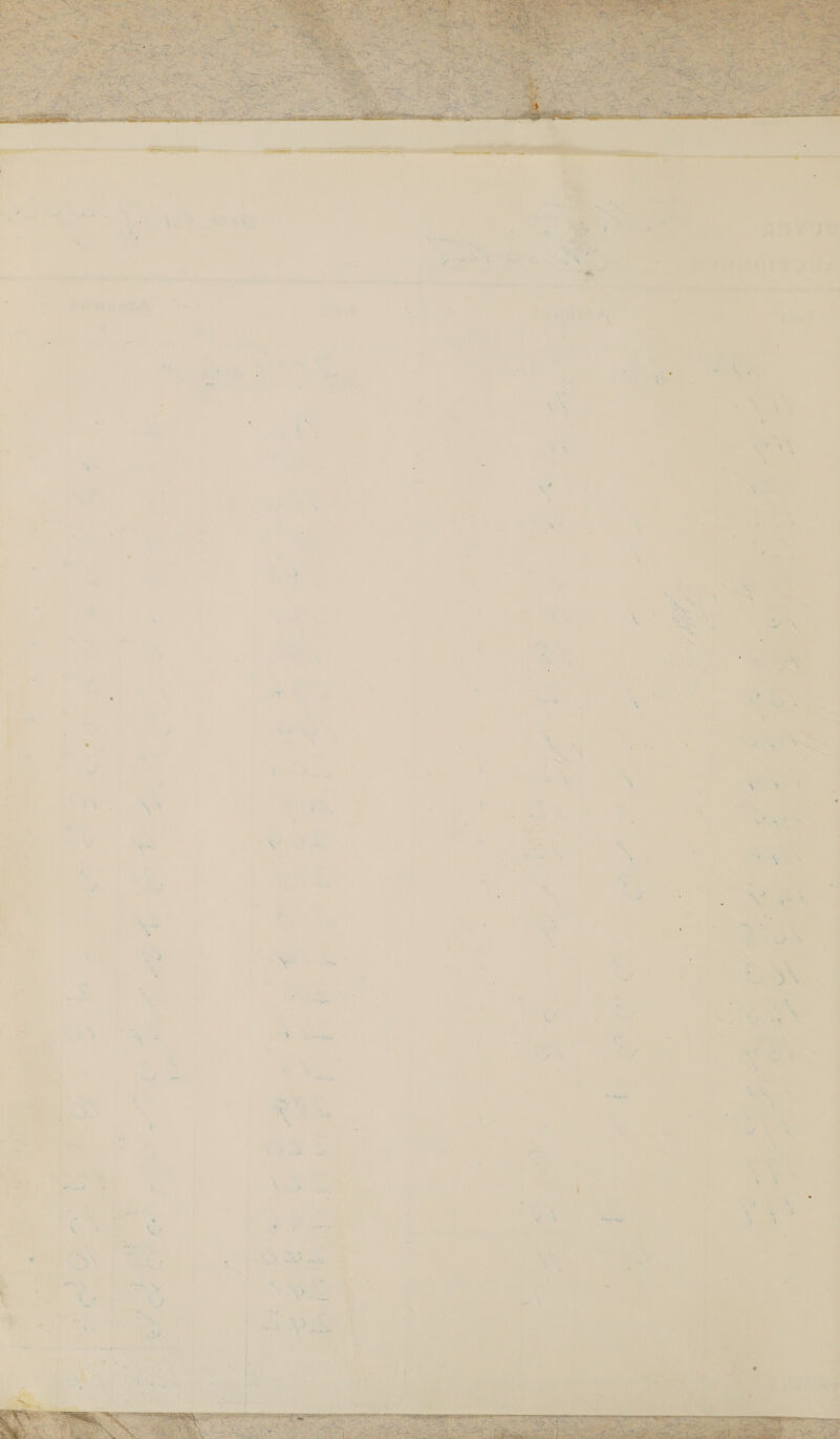   n z ' ‘ ‘ ’ re * 4 N ‘ ‘ 4 ' ; ie e — a . 4 J + 4, Ty ont ‘ ’ 4 ; - a ; ‘ hoa   1 bo F we er . Ge . oy an i \ ‘ AO r . t eka i % o - FI ‘ ; ter ‘ ‘ ang Ke x Kw « ‘ t . i a ie oa wn, a aes Ge a : a 7  a % nis . ‘4 : rw a 7  * “~ ny . tp. j e % } , = he j ’ % 4 he  ‘4 * ‘ YS Pane nat u aren he f ‘ : mae fs i fi.  “ re ea *  ' 4 + 2 . : % ’ S a, ‘  =~ 