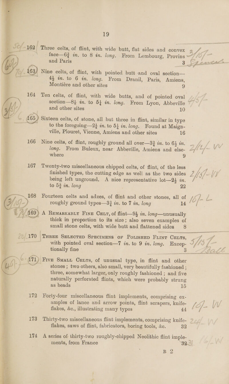 rs 162 Three celts, of flint, with wide butt, flat sides and convex - | . “a ‘ k : ; \a/ je ie3) Nine celts, of flint, with pointed butt -and oval section— 4, am. to 6 in. long. From Dranil, Paris, Amiens, Montiére and other sites 9 7 164 Ten celts, of flint, with wide butts, and of pointed oval i= 165) Sixteen celts, of stone, all but three in flint, similar in type to the foregoing —2t in. to 54 in. long. Found at Maign- ville, Plouret, Vienne, Amiens and other sites 16 166 Nine celts, of flint, roughly ground all over—3? in. to 64 a. long. From Buleux, near’ Abbeville, Amiens and else- where 9 167 Twenty-two miscellaneous chipped celts, of flint, of the less finished types, the cutting edge as well as the two sides being left unground. A nice representative lot—24 in. to 53 on. long 22 ha 168 Fourteen celts and adzes, of flint and other stones, all of ¥ S/—) roughly ground types—3} in. to 7 in. long i ea | ¢ A (169) A Remarkasiy Fine Cer, of flint—94 in. long—unusually ~~“ thick in proportion to its size; also seven examples of small stone celts, with wide butt and flattened sides 8 ee 170 |Turee SELEcTED Specimens or PonisHep Fun CELTS, tionally fine stones ; two others, also small, very beautifully fashioned ; three, somewhat larger, only roughly fashioned ; and five naturally perforated flints, which were probably strung as beads 15 G y\% 171, ) Five Smaun Csurs, of unusual type, in flint and other 172 Forty-four miscellaneous flint implements, comprising ex- amples of lance and arrow points, flint scrapers, knife- flakes, &amp;c., illustrating many types 44 173 Thirty-two miscellaneous flint implements, comprising knife- flakes, saws of flint, fabricators, boring tools, &amp;c. 32 174 A series of thirty-two roughly-chipped Neolithic flint imple- \ BZ