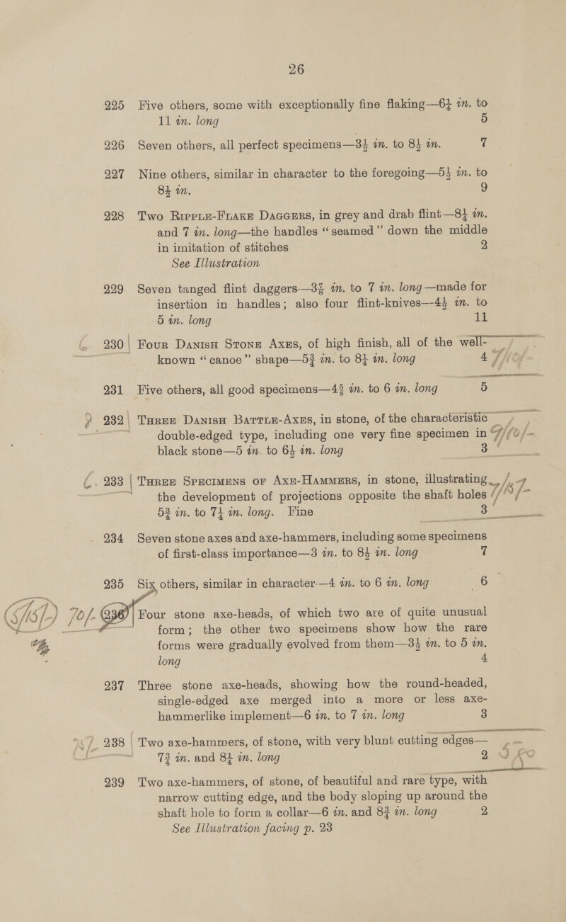 26 925 Five others, some with exceptionally fine flaking—6} i. to 226 Seven others, all perfect specimens —3} an. to 84 on. 7 927 Nine others, similar in character to the foregoing—5} in. to 84 an. 9 928 Two Rippue-FLuAKEe Daacers, in grey and drab flint —8} wm. and 7 in. long—the handles “seamed” down the middle in imitation of stitches 2 See Illustration 929 Seven tanged flint daggers—3Z in. to 7 i. long —made for insertion in handles; also four flint-knives—-44 an. to double-edged type, including one very fine specimen in Git black stone—5 in. to 64 an. long : ae ec the development of projections opposite the shaft holes fey ~ 5 in. long 11 230 Four Danisn Sronz Axess, of high finish, all of the well- ~~ ; known “canoe” shape—5} in. to 84 am. long 4, V/ ; 231 Five others, all good specimens—4% im. to 6 m. long ee F nd 53 in. to 74 in. long. Fine dates 8s 934 Seven stone axes and axe-hammers, including some specimens of first-class importance—3 in. to 84 am. long 7 Four stone axe-heads, of which two are of quite unusual form; the other two specimens show how the rare forms were gradually evolved from them—38$ i. to 5 an. long 4 237 Three stone axe-heads, showing how the round-headed, single-edged axe merged into a more or less axe- hammerlike implement—6 in. to 7 on. long 3 ae 72 mm. and 84 an. long | 2 939 Two axe-hammers, of stone, of beautiful and rare type, with narrow cutting edge, and the body sloping up around the shaft hole to form a collar—6 im. and 8? an. long 2, See Illustration facing p. 23