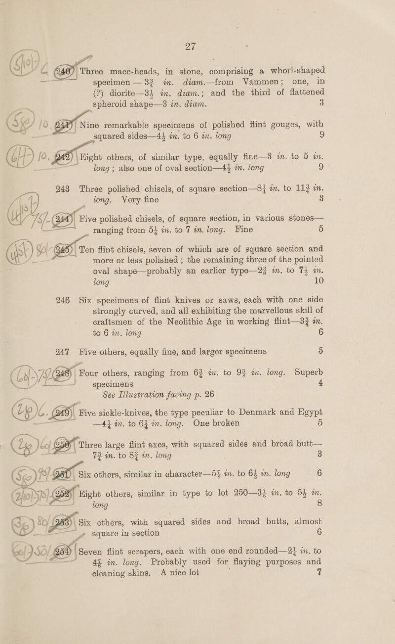 Ln). (ol) C am Three mace-heads, in stone, comprising a whorl- shaped ———= specimen— 383 in. dtam—from Vammen; one, in (2) diorite—34 in. diam.; and the third of fanned spheroid shape—3 in. diam. 3      ‘Nine remarkable specimens of polished flint gouges, with _squared sides—44 am. to 6 im. long  y \Hight others, of similar type, equally fire—3 i. to 5 m. “long; also one of oval section—44 in. long 9 943 Three polished chisels, of square section—8} am. to 11} mm. long. Very fine 3 a 9) “Five polished chisels, of square section, in various stones— _ ranging from 5} im. to 7 wm. long. Fine 5 Ten flint chisels, seven of which are of square <sonion and more or less polished ; the remaining three of the pointed oval shape—probably an earlier type—2z om. to 7} am. long 10 246 Six specimens of flint knives or saws, each with one side strongly curved, and all exhibiting the marvellous skill of craftsmen of the Neolithic Age in working flint—3? am to 6 wm. long 6 247 Five others, equally fine, and larger specimens 9) Ss ie a : C : ( INP. 248} Four others, ranging from 63 im. to 93 m. long. Superb ef ee I specimens 5 See Illustration facing p. 26 f y\ Five sickle-knives, the type peculiar to Denmark and Egypt ~ —41 an. to 64 m. long. One broken 5 | \ Three large flint axes, with squared sides and broad butt—  72 im. to 82 i. long 3 ( Se i gifs others, similar in character—5{ im. to 64 m. long 6 ~. ah Bight others, similar in type to lot 250—3} a. to 54 m. ‘ long 8  3) Six others, with squared sides and broad butts, almost ~~» square in section 6  ol 50/68) {Seven flint scrapers, each with one end rounded—2¥4 am. to oo 47 in. long. Probably used for flaying purposes and cleaning skins. A nice lot 7