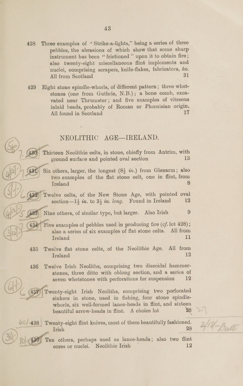 428 Three examples of “ Strike-a-lights,” being a series of three pebbles, the abrasions of which show that some sharp instrument has been “ frictioned”’ upon it to obtain fire ; also twenty-eight miscellaneous flint implements and nuclei, comprising scrapers, knife-flakes, fabricators, &c. All from Scotland 31 429 Hight stone spindle-whorls, of different pattern ; three whet- stones (one from Guthrie, N.B.); a bone comb, exca- vated near Thrumster; and five examples of vitreous inlaid beads, probably of Roman or Phcenician origin. All found in Scotland ce Fs ~ NEOLITHIC AGE—IRELAND. fTistoon Neolithic celts, in stone, chiefly from Antrim, with _ ground surface and pointed oval section 13 i Biz others, larger, the longest (84 in.) from Glenarm; also two examples of the flat stone celt, one in flint, from Ireland 8 a) Twelve celts, of the New Stone Age, with pointed oval section—14 in. to 34 in. long. Found in Ireland 12 3) Nine others, of similar type, but larger. Also Irish 9 oe 4: P| Five examples of pebbles used in producing fire (cf. lot 428) ; Hist ‘also a series of six examples of flat stone celts. All from mel Oe Ireland ee 435 Twelve flat stone celts, of the Neolithic Age. All from Ireland 12 436 Twelve Irish Neoliths, comprising two discoidal hammer- stones, three ditto with oblong section, and a series of seven whetstones with perforations for suspension 12 Ye - (437| Twenty-eight Irish Neoliths, comprising two perforated = sinkers in stone, used in fishing, four stone spindle- whorls, six well-formed lance-heads in flint, and sixteen beautiful arrow-heads in flint. A choice lot 28 438 | Twenty-eight flint knives, most of them beautifully fashioned. Trish 28 Pd On 0 Be Ten others, perhaps used as lance-heads; also two flint cores or nuclei. Neolithic Irish _ 12