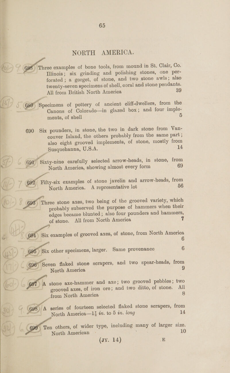  S PP. 69 NORTH AMERICA.  Three examples of bone tools, from mound in St. Clair, Co. Illinois; six grinding and polishing stones, one per- forated ; a gorget, of stone, and two stone awls; also twenty-seven specimens of shell, coral and stone pendants. All from British North America 39 Canons of Colorado—in glazed box; and four imple- ments, of shell 690 Six pounders, in stone, the two in dark stone from Van- couver Island, the others probably from the same part ; also eight grooved implements, of stone, mostly from ‘Susquehanna, U.S.A. 14 69% Sixty-nine carefully selected arrow-heads, in stone, from = North America, showing almost every form es : 692, Fifty-six examples of stone javelin and arrow-heads, from — North America. A representative lot 56 ‘Three stone axes, two being of the grooved variety, which probably subserved the purpose of hammers when their edges became blunted; also four pounders and hammers, of stone. All from North America 7 cot Six examples of grooved axes, of stone, from North America mes a 6        ) Six other specimens, larger. Same provenance 6 »“ Seven flaked stone scrapers, and two spear-heads, from North America 9 stone axe-hammer and axe; two grooved pebbles ; two grooved axes, of iron ore; and two ditto, of stone. All _from North America 8  rA 3), A series of fourteen selected flaked stone scrapers, from _ North America—1% im. to 5 im. long 14 y Ten others, of wider type, including many of larger size. North American» 10 (sy. 14) E