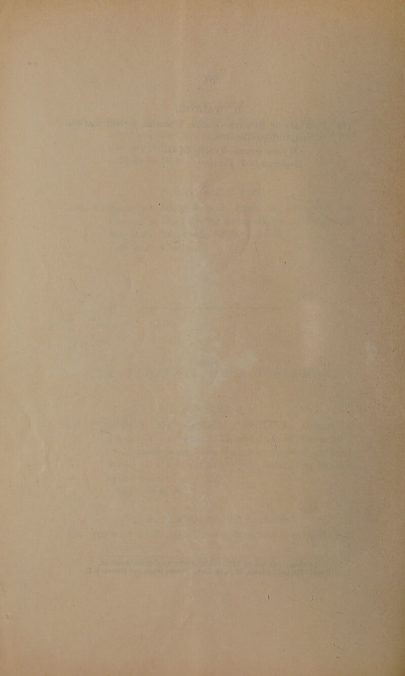 , : 4 ’ ¥ S. — ~ “a ' i fe é yt bag tA i ae eel < a hd ae Bt ‘ , ” y ‘ ar ee 7)       vr 7 $ s + 7 e - Pe . vi ; ji. | VEL AS LGR DAT T° oat a arena a gi ~’ : mm oe! a ee PX 4 Fi ! , irc aaa eke geste, Shey § be zat vine Bs Peed Sa ‘ ‘ 4 ” ot re vy ;  My fia ts '  A> Ancel aeae se . * L. f Aw ‘ d xg Ne 