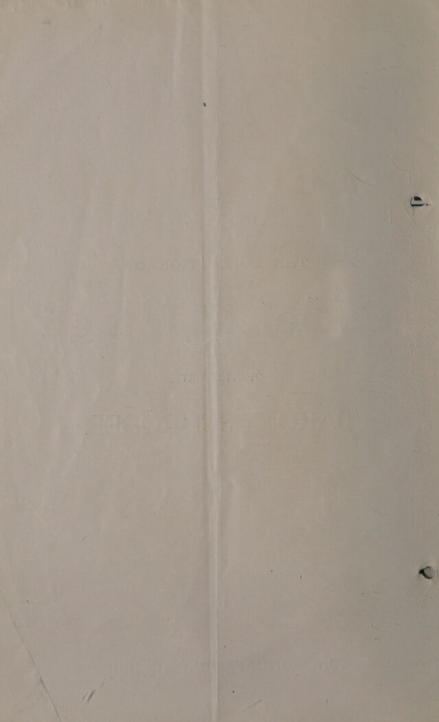 digitised image 2