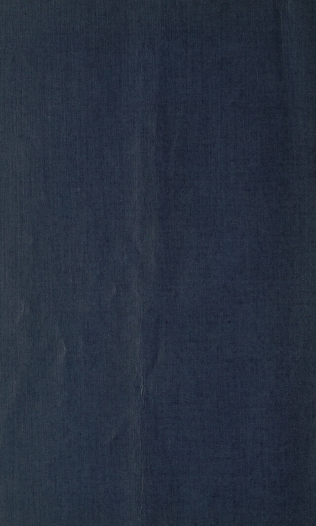 digitised image 2