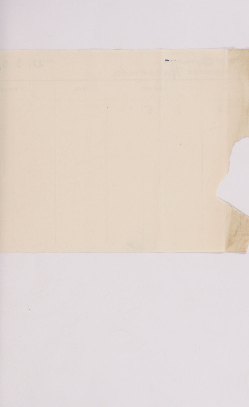   Sen ee ee ee a el 4 1  ‘s i ‘ = s * > ' < - » i - ' 2 s 7 Pow r = &amp; af f ‘ Pa 1 : . Pl ( 3, f ‘ z : 6 f Z ff = . : i 7 + , vy oe, ’ 4 a 4 