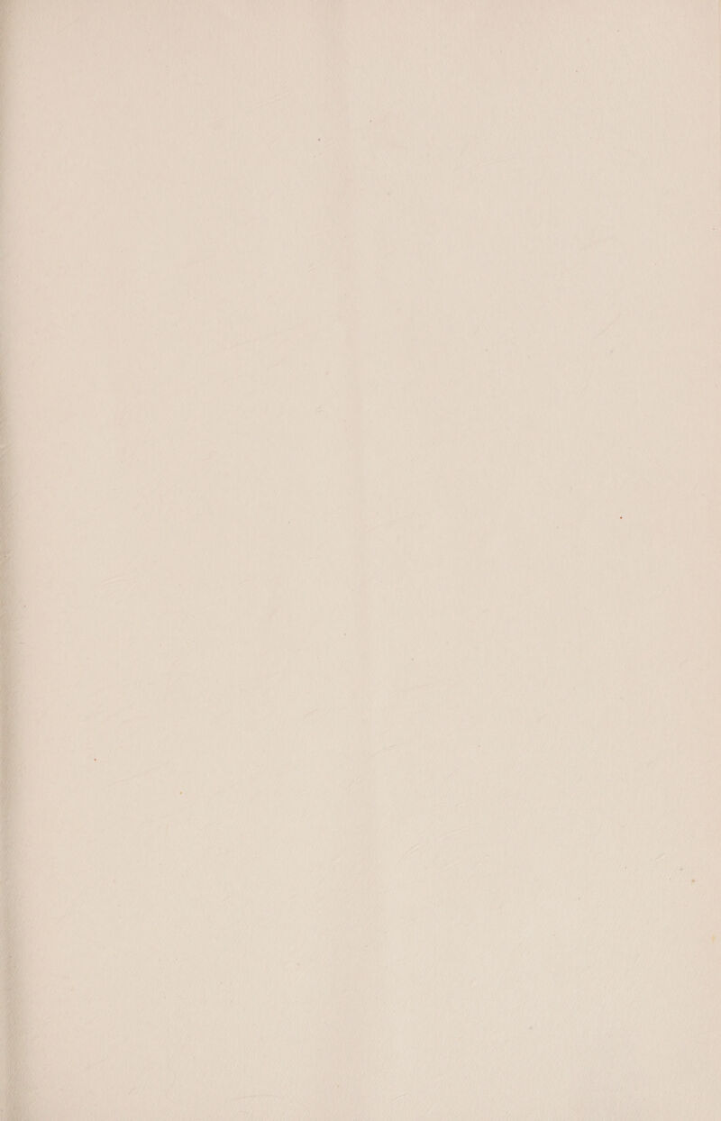            , f eS 6 * oF . ¥ x, ‘ — iat ° ; ' - t ¢ “ 1 ‘ . ee - : t i ' te ~ oe ‘ / » i) one a u Nin, re   