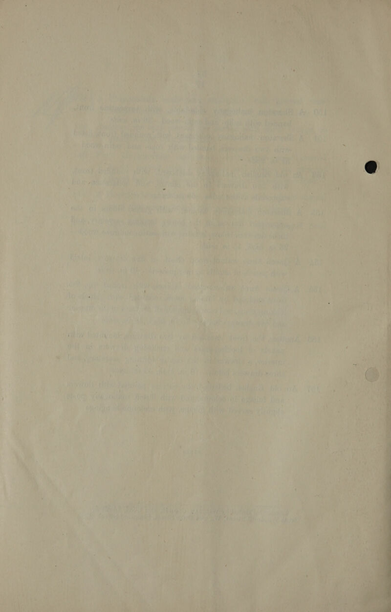                  4 , ne 22) Cae aan Scot: PA Wl ’ { r ‘ Lente. | Gs vine Le ey Glee OMELY a en (ia Ca ee ah ae ,.. Piet oth = r?- a a 2h te ’ b, rits Ry ae 1 :      ; ty Vaan VN ieee tak Ph 7) ae ., Abo) le PY 8 ates: POs (3 PS oo en ® ‘ ne Riles i's’ vitae A Nae’ rit Wee cs Pea ft. OFF VR VA io Sa a's: \ ae ite.% i ‘ ate I ed 14 imi Lo : { ts eS ee a) ee UE | ae PT) A ny fi Ry) og Wty. Newt Py: +} hy oa be re \ “ ’ i 4k “ro.oe f ve AGEAS 3, Meee thal oll int) vn 'gad EY aay “ae a F k ; ; oi tea ys : f hay ite, Ae ; ea 9 be | ites i de eae on | ‘ ie LT es oe B Pe AG Aah OUD WS Cet). 0) a Ab Ae San wr). Tee Ee &amp; ky Ds hi yy ‘ay a : at ey gat Oe tate 4 :       a i ay eae 14 at “i 7 ‘es -* / ei ‘ : ‘ of Uy te verte HM Pat a Ry ot ¢! , i ’ rar Ve ae ( 4 i . ys Pe © iy ih x LG rere aay GRRE pie PY ert) ey Lo } i Bi i A ip) See tt S j ; y an ee die ey vik ree A Re Bate | RACAAIOY ot ey NG te SOG a AS | a ST a pO ne ve) Pars a A &gt; Wy) } et ; Wipay if ' : an) fF ‘ an ViPS 4 4 * &gt; Bt ‘ Ie Ae x ft 4 Fi ri f 7 a ee a if an. ‘ — Rien, oh r) oh } re ‘ . i 4 / x P Sa vy hy of wee bes die a gm yy » : i : ; y 4 ar . i ad ? : hee Wet A : io ‘ A bel &gt; he 4 be; ' ‘ » ; ~ ati WH). Bik w 1) iy) ’ eh GS, hy iM i : p , su } ’ ; wa i a NG otha Bois Gh itll “RE ARRMRCE bu tae aie aa oe ee ty Pa aa | is tert a is eee OD ‘ : us . ae cao a iit Pty Sane a ; ; io) + age les ev { — ‘os : Ne ’ ‘ AG RD et das J Le be ti PLAY ae ' 4 va ie is, ‘+ i t , . rt DA Mie he a gia! a4 ‘ f ar { J \ : : nag i vy 4 b ¢ *Y , y Vy Rad 5 hg ie) oye hi) hf igs ipa @ FEA ‘oe i , al Keb ' : y POTN tn A f i] rie LOE t oF hy ) Fife. a) , . ) Re fT a Ai j &gt; Ag ee ae pt ee ba3e ‘7 RR CS: PE Sic MURR hae PT eB nee Fy 4 &lt;) FY qt :