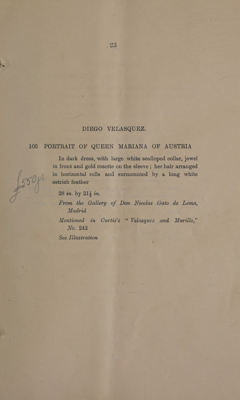 DIEGO VELASQUEZ. 105 PORTRAIT OF QUEEN MARIANA OF AUSTRIA In dark dress, with large white scalloped collar, jewel in front and gold rosette on the sleeve ; her hair arranged fin horizontal rolls and surmounted by a long white ri ti ot Fi Fi i ; LA QYA ostrich feather od f } Ba | 28 wm. by 214 in. U/ From the Gallery of Don Nicolas Gato de Lema, Madrid Mentioned in Curtis's « Velasquez and Murillo,” No. 242
