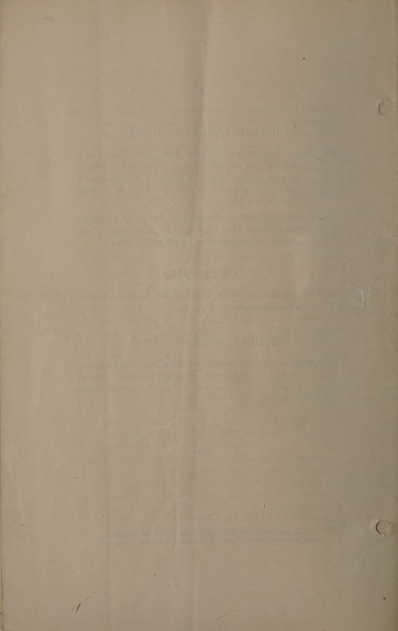 ¥ A = “ 2 oe, a Par a aly. - ih Ye: eek r Ae oS i= mn” oe 1 oo « 3 ths 1 4 i? 4 % * t ¢ 7 * &gt; ¢ a s tee f Neie ; i, ee by 7 ) ’ ) ®, bf ag S o~ ‘ + - fe % . a . SI af. ‘ ~ f i 5 a =E@, * . ‘ - 2 ; / i. re faa . . &amp; r wy ‘ - at 2) ‘ &gt; i « a § ae #.   