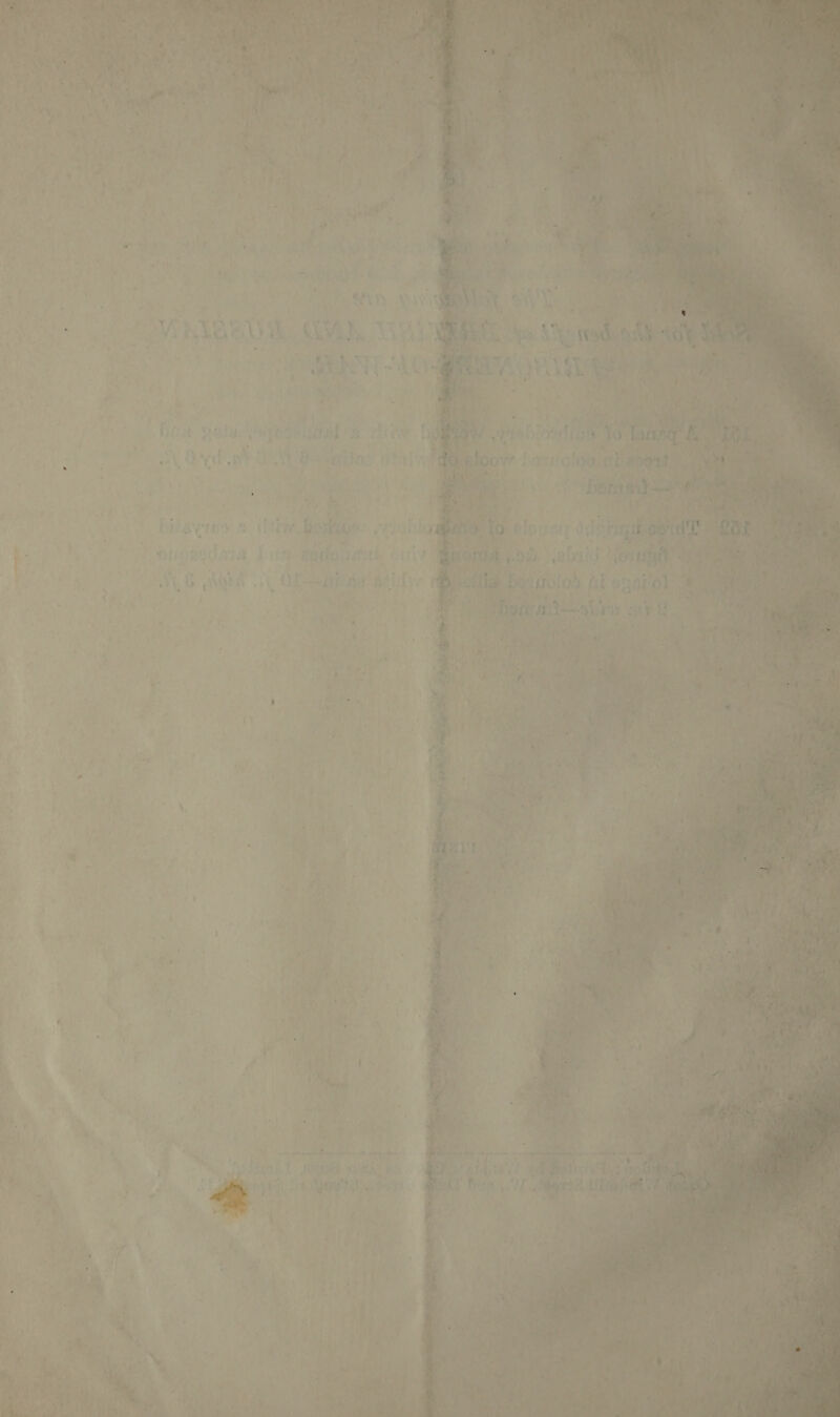              ) AT - ‘ : a2) pow eee’ ; if. Orn ¢   x Bb 4 fi ei ‘ ; Brat? 4 a x } * Lae : a 1, GO vQN | Od petite ed pe oh a opal Q Meee ia syn , , eae i mimsobeas se - ‘ at WP dist a ak eA)” ‘ es y . Ps } tae ae a uf Beet) ! (? ; +: ca ' ‘ * ae ay 7 . 4 = Lo ? 4 - i j r x . . 7. . ‘ , ‘ 4 Ee . i m ‘ Paw ' r &gt; F 4 ; '   bys ee a, +) ee ¥ a beep ge ea i , = Ths) ty “PESA ake re  ies pial, dias Ke a road