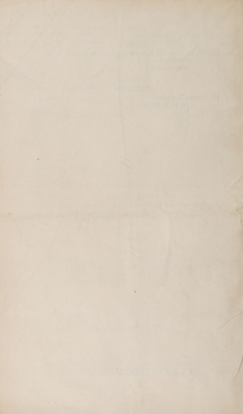  r 4 J ‘ 4 &gt; , . € Fy iu } , - ‘ vie { ' y . ey, : ‘ 7. . J ' ; * j 4 1 , of Wwiee ‘ +) Aes we A ; Y: ’ , 4 i oe. ; . ad , *, i I ‘ i ey. } ‘y 2 fay 4 : 4 ‘ ; ; “ie + ; ba j ij ah * y Uther ak . ‘ ' i Ay Ag Fades 7 ; ee , ‘ 4 a) ree A  * 4 Pay rca: j PENG GAMES Mit rere ply) 4 trey Pe Be Cra er ou if has ed mv be ve  uy v * 1 =i tus ’ 1 5 sf bad i * uf , ) o . of pA d al i bf 1 Pere) 4 by a {  . | / + : 3 h ‘ 