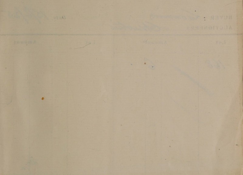  st SMOLTOUAT tit é Peers: a perenne tom setts atte rt NOON VO OPER | : » ‘ . = $ % F. a * { 2 * f - - } 7 &lt; a 2 a F = . flag +. ri . | 5 - ‘7 + &lt; 4 - ‘ es + ® cee S r) a = ¥ ) © $ saat . x ‘= am 2. 7 ¥ a big ie fi - E _ ne ae 1, fy t Fay % &gt; - i oo Sn ce, -— - = med tls 