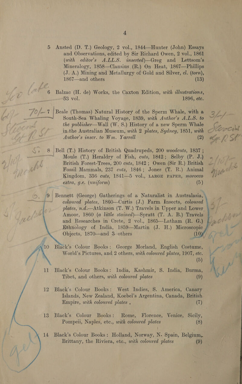 5 Ansted (D. T.) Geology, 2 vol., 1844—Hunter (John) Essays and Observations, edited by Sir Richard Owen, 2 vol., 1861 (with editor's A.LL.S. inserted)—Greg and Lettsom’s Mineralogy, 1858—Clausius (R:) On Heat, 1867—Phillips (J. A.) Mining and Metallurgy of Gold and Silver, el. (torn), 1867—and others (13) 6 Balzac (H. de) Works, the Caxton Edition, with dlustrations, 53 vol. 1896, etc. “70 fox I | Beale (Thomas) Natural History of the Sperm Whale, witha 2/7 , were! South-Sea Whaling Voyage, 1839, with Author's A.L.S. to “~~” the publisher—Wall (W. 8.) History of a new Sperm Whale ¢ 8 Bell (T.) History of British Quadrupeds, 200 woodcuts, 1837 ; ™. Moule (T.) Heraldry of Fish, cuts, 1842;. Selby (P. Jj, British Forest-Trees, 200 cuts, 1842; Owen (Sir R.) British .— Fossil Mammals, 237 cuts, 1846; Jones (T. R.) Animal 4 Kingdom, 336 cuts, 1841—5 vol., LARGE PAPER, morocco ¢¢ extra, g.e. (uniform) (5) 9 Bennett (George) Gatherings of a Naturalist in Australasia, sins coloured plates, 1860—Curtis (J.) Farm Insects, coloured © plates, n.d.—Atkinson (T. W.) Travels in Upper and Lower Amoor, 1860 (a little stained)—Spratt (T. A. B.) Travels and Researches in Crete, 2 vol., 1865—Latham (R. G.) Ethnology of India, 1859—Martin (J. H.) Microscopic Objects, 1870—and 3. others (10);        he Black’s Colour Books: George Morland, English Costume, «+ fj World’s Pictures, and 2 others, with coloured plates, 1907, etc. y ay (5) U 11 Black’s Colour Books: India, Kashmir, S. India, Burma, Tibet, and others, with coloured plates } (9)  12 Black’s Colour Books: West Indies, 8. America, Canary Islands, New Zealand, Koebel’s Argentina, Canada, British Empire, with coloured plates , (7) Black’s Colour Books: Rome, Florence, Venice, Sicily, Pompeii, Naples, etc., with coloured plates (8) Black’s Colour Books: Holland, Norway, N. Spain, Belgium, Brittany, the Riviera, etc., with coloured plates (9) 