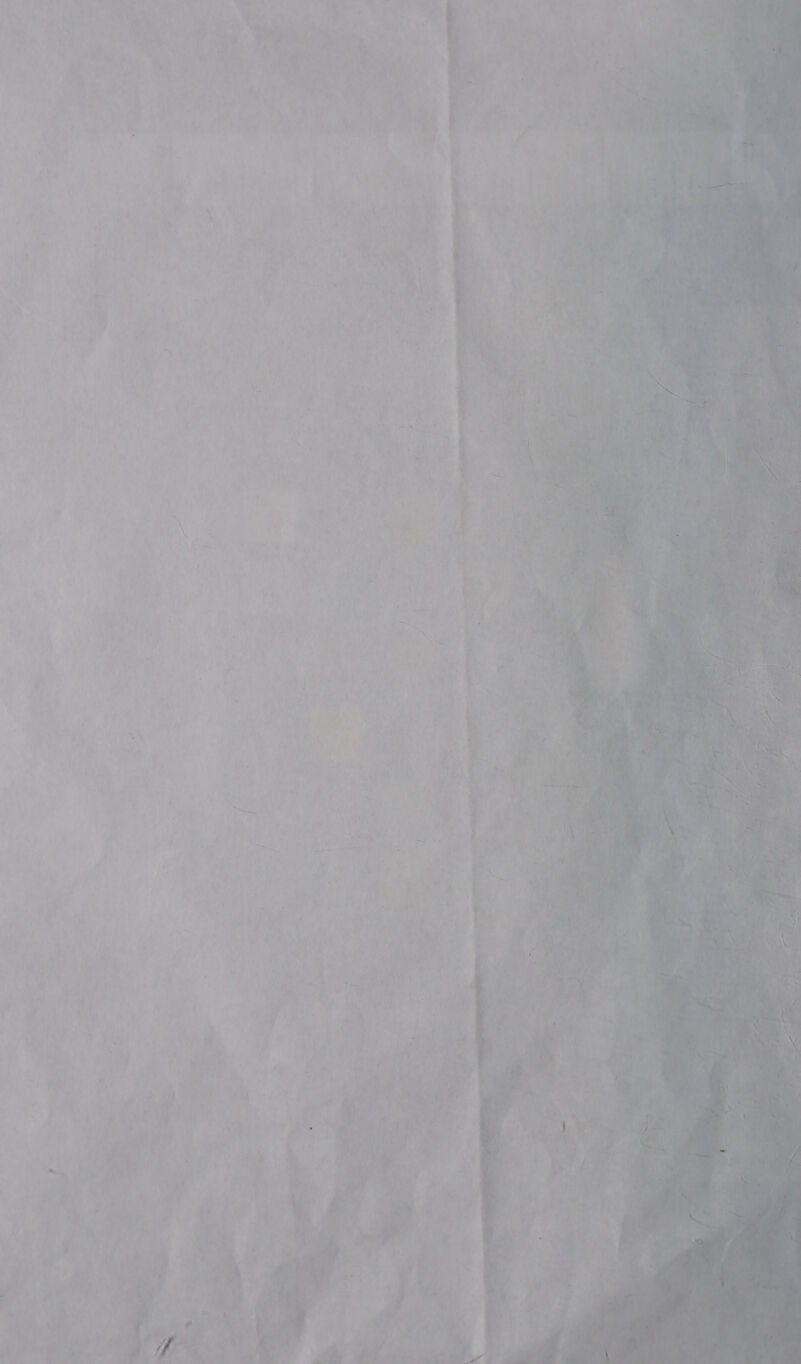  i) ‘ i F dant t ilk ~~ “N aN ¥ ee ade s Be sig,      ‘3 - lh ” og hcg) =  ae
