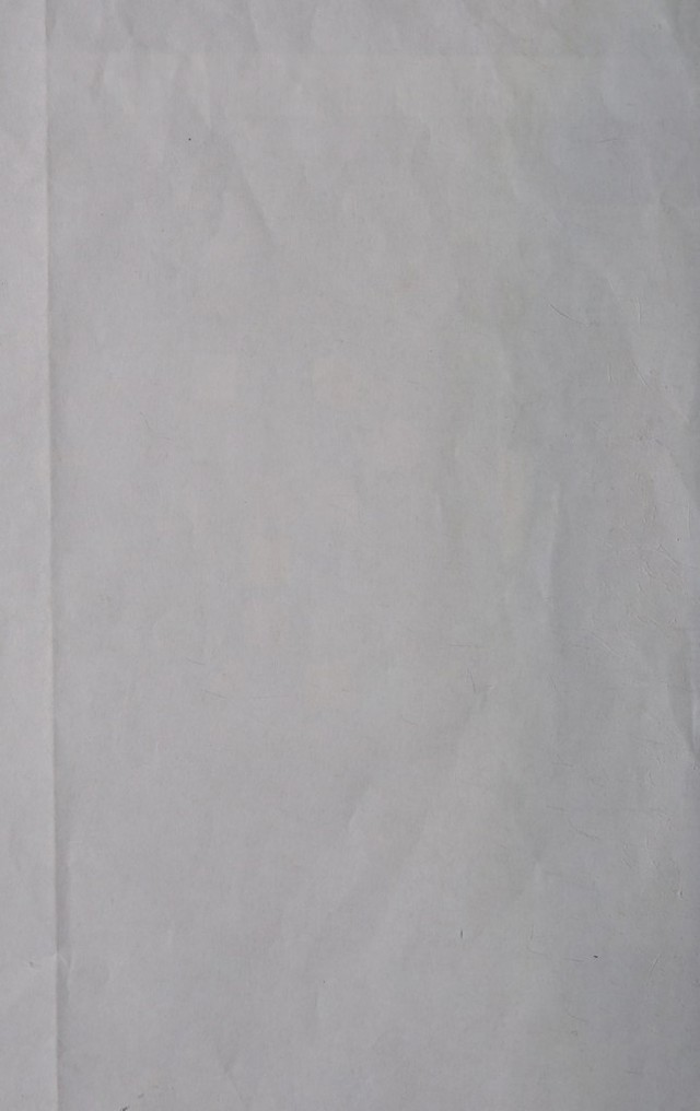 digitised image 2