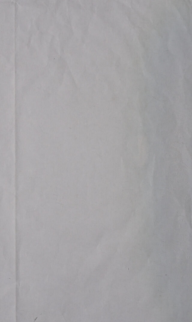 digitised image 2