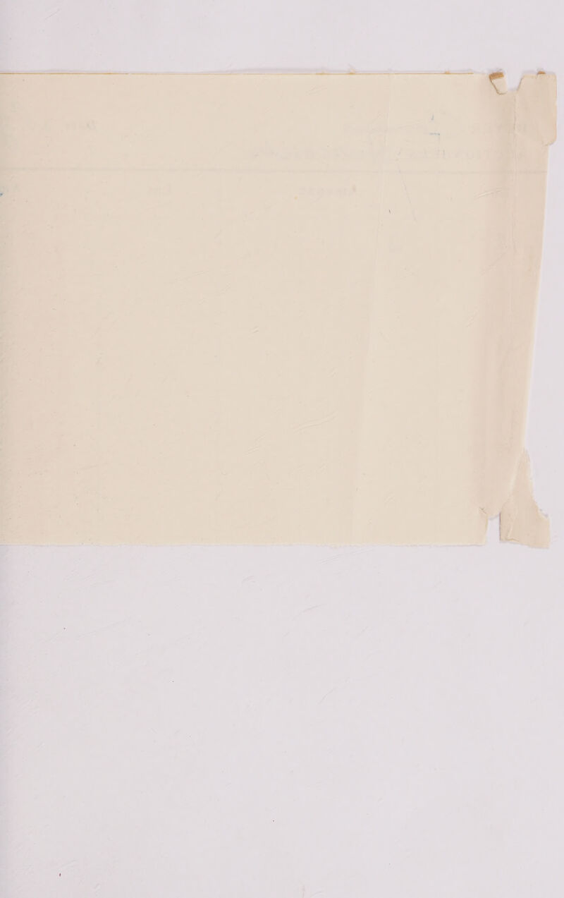     an) 1 eg ett te Se ey tole ae Geet, aa ats : i y n y i I - / > J- ris s oe oat fe of 2 F : oa, > ~~ ‘ - : a —— mr erat 4 1 Se che a, anne oa ae = be te TE  J = = , = ® ¥ a5 pie a = 2 ; , 5 . ‘ :  ,