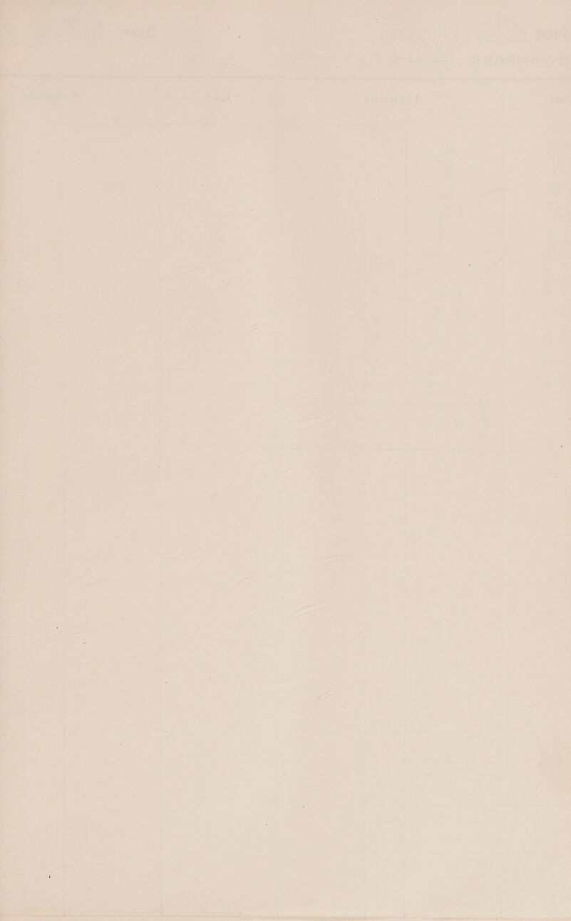 ey ic ™P - - c ea be5 Sede. a _ ta ——— a Se fea ae, ~ a ade 5 AN Se Be ei Srey Es 3 ee: ath 