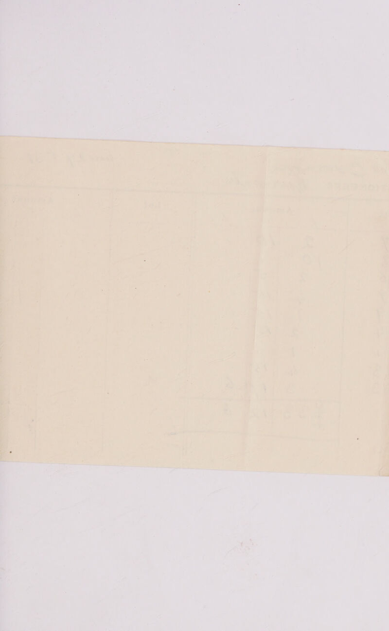 lt eae on Sy hee gr ; ~. ade 5. ie Vee 