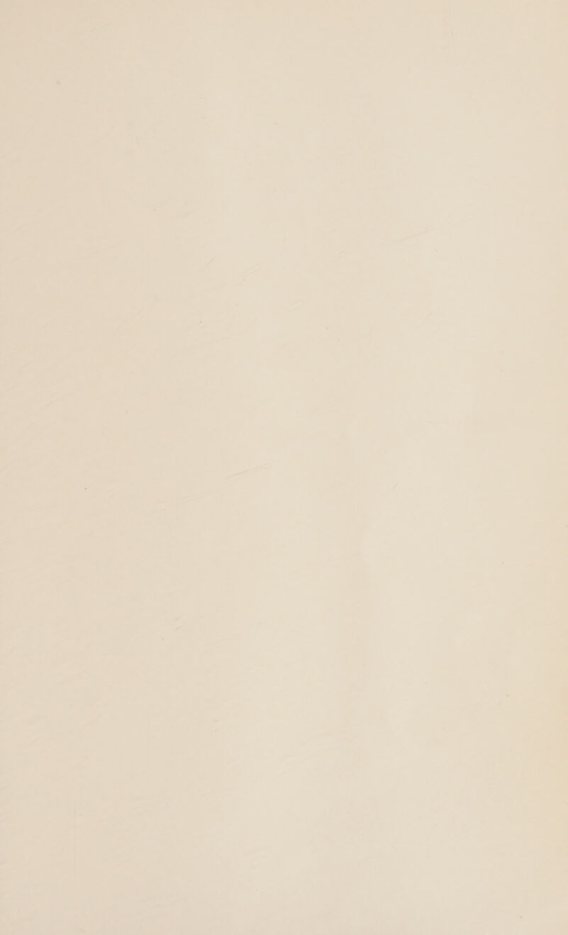    he - . a ds Sd a i TR