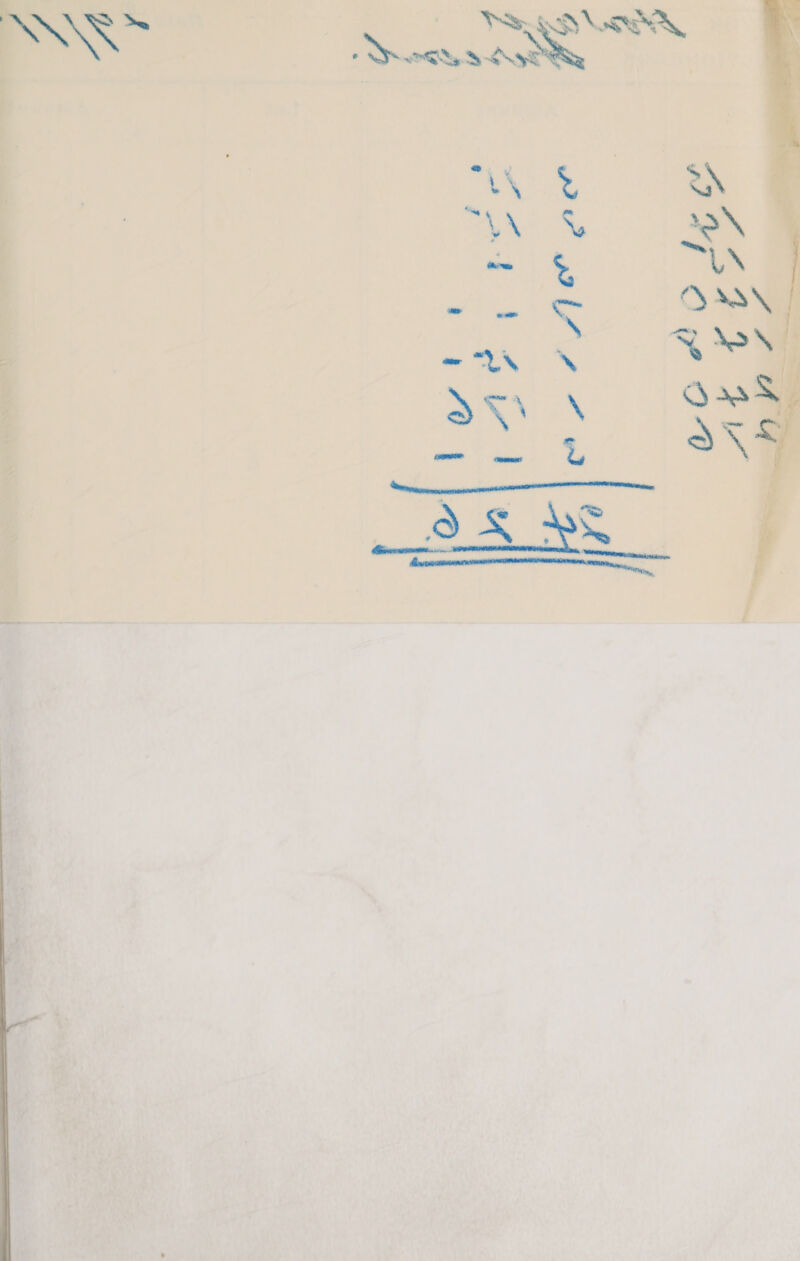 De TT * ee =  ae oo wah tas hae Oars\ \ - ~ AN * as \  