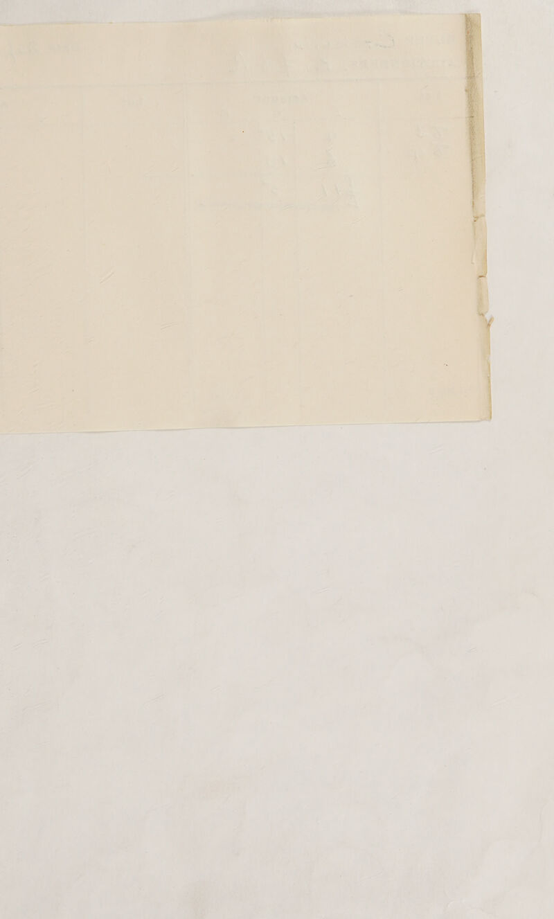          ‘ a is eo ‘ 7 ae: a sh ee Nd Pe ry hi * y F r 7 b . 7 Peel: char Aa Rae A ; ue nae TAT Sy a er: r SE AO cece Meee Oe ld o vy iA re ae ee ‘ Lg \ stamens anrn eisai embailim neanlenine py het ‘ np. ‘3 ‘ PRLS, i vid ty pe » he ng ‘aah Ne : ed ayy _~ wis ib ee = “ be) Ae '‘  aes 4 ie | ‘ a saat eyes wis ‘ ss ee ieee: Sas i! aes ‘@ ee mah i i Was Bais | Peet, rn &lt; ALA ROE BT at o. ‘s . s ess Tae eae 4 aa - be } b i a 