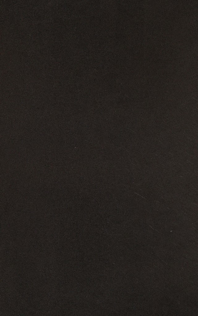 digitised image 2