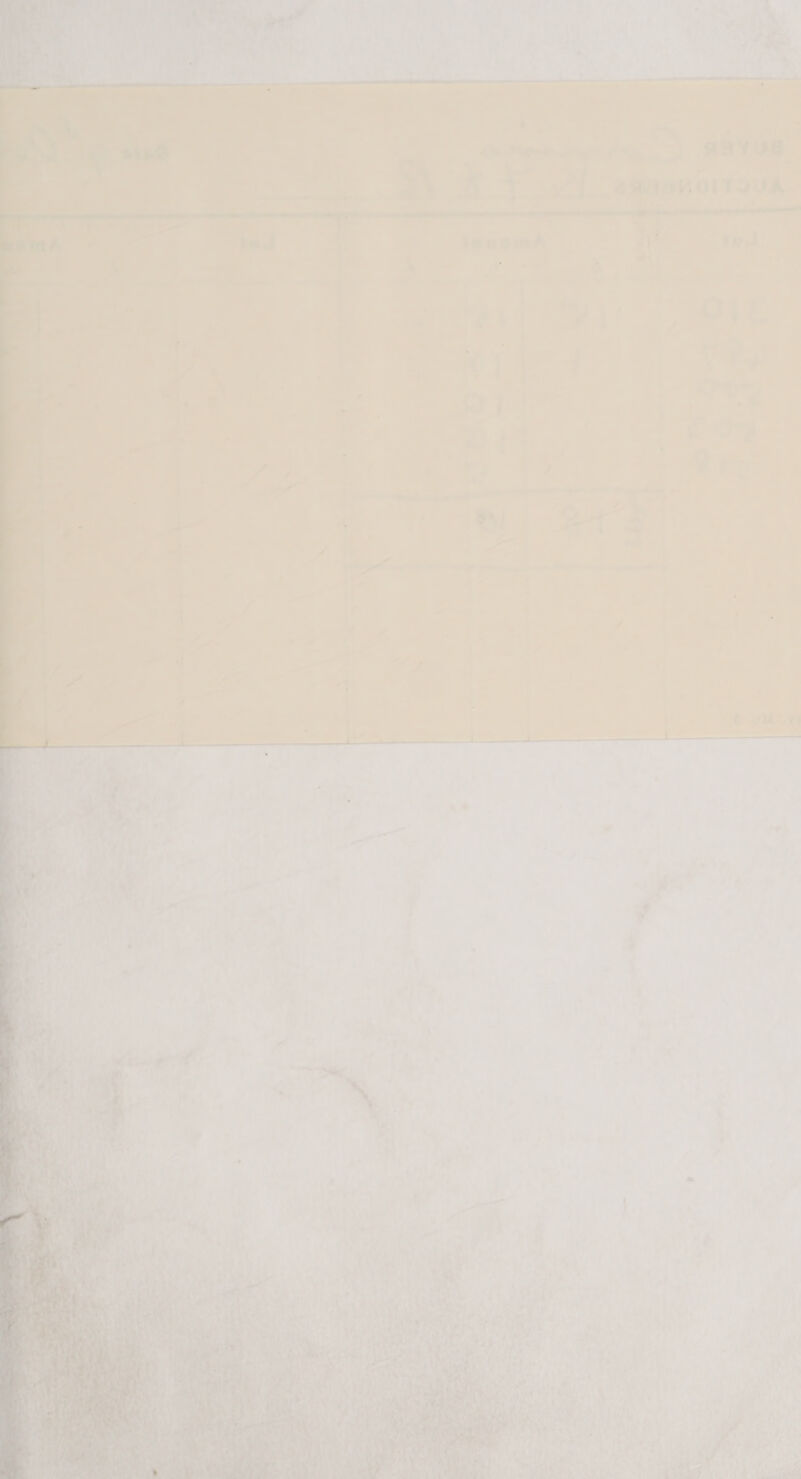   LF ‘ 0 oe tt, me os . 7 : y ,,? &amp; 4 ov i i . a ; - 23yYua 4 ‘ i, | S82 89K0ITSUA _ eT ae 5 ~ ey en a 2? eh 17 Tr |  ’ ‘ ‘ ¢ hd < v 4 co &amp; ¥ : ‘Les ! > Tf. ‘ , AB: hy: a «4 ‘ \ ’ } i o rip ly yi | Pha