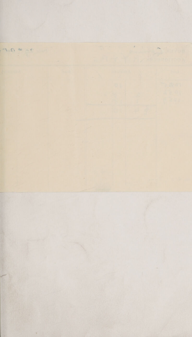  > ~ ia ' ® \ er} +t v. Sa ie ee va | A 7 a y Gi ae es ° pe}    ae ¥ 