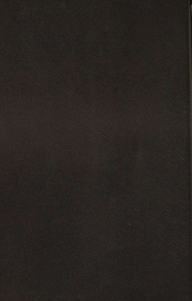 digitised image 2