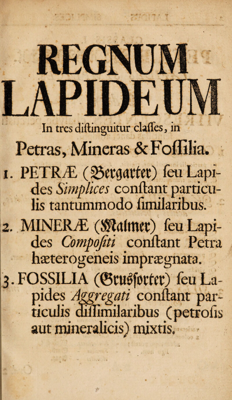 t In tres diftinguitur claffes, in Petras, Mineras <3c F offilia. I. PETRdi, ( feu Lapi¬ des Simplices condant particu¬ lis tantummodo fimilaribus. 2. MINERdE (Sla(met) feu Lapi¬ des Compofiti condant Petra haeterogeneis impraegnata. 3. FOSSILIA feu La¬ pides Aggregati condant par¬ ticulis amimilaribus (petrofis aut mineralicis) mixtis.