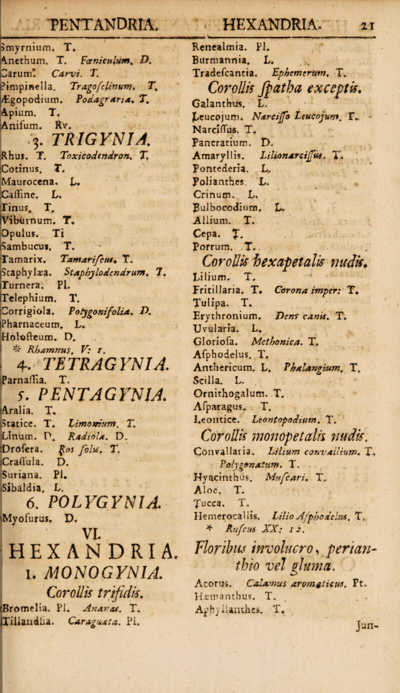 PENT ANDRIA, Smyrnium. T. Anethum. T. Fosniculum. D. 3arum* Carvi. T. Pimpinella. Trago felinum. T. Agopodium. Podagrana. T. Apium. T, Anilum. Rv. 3. TRIGYNIA. .Rhus. T. Toxicodtndron. T, Cotinus. T. Maurocena. l>, iCaffine. L. Tinus, T, IViburnum. T. Dpulus. Ti (Sambucus. T. Tamarix. Tamarifcut• T. jScaphylxa. Staphylodendrum. 7. iTurnera. Pl. irelephium. T. Corrigiola. Potygonifolia. D. iPharnaceum. L. Holofteum. D. w Rhamnus. V: r. I 4- TETRAGYNIA. iParnaffia. T. 5. PENTAGYNIA. sAralia. T. iiStaticc. T. Limonium. T. iLinum. P, RadioU. D. EDrofera. $os folts. T» jCrallula. D. Suriana. Pl. uSibaldia. L. 6. POLYGYNIA. ■jMyolurus. D. vi. HEXANDRIA. i. MONOGYNIA. Corollis trifidis. cBromelia. Pl. An aras. T. iXillandlia. Car agitat a. Pi. '. HEXANDRIA. ix immut W»— i ■!■■■'— ■■ ■ .i »i.n i ■„n» >o Rcnealmia. Pl. Burmannia. L. Tradefcantia. Ephcmerutn. T. Corollis Jpatba exceptis. Galanthus. L, jLeucojum. Narciffo Leucojum. T_ Narciflus. T. Pancratium. Do Amaryllis. Ltlionarcifus, T. Pontederia, L. Polianthes. L. * Crinucn. L. Pulboccdium, L* Allium. T. Cepa. Porrum. T. Corollis 'bexapetalis nudis. Lilium. T. Fritillaria. T. Corona imper: T. Tulipa. T. Erythronium. Dens canis. T. Uvularia. L. Gloriofa. Methonica. T. Afphodelus. T. Anthcricum. L. Phalangium. T. Scilla. L. Ornithogalum. T. Afparagus. T. l.eontice. Leontapodiurn. T. Corollis monopetalh nudis. Convallat ia. Lilium convallium. T, Polygo natum. T. Hyacinthus. Mufcari. T. Aloe. T. Jucca. T. Hemerocaliis. Lilio Afphodelus. T. * Rtifcus XX: 12. Floribus involucro, penem- thio vel pluma. Acorus. Calamus aromaticus. Pt. Hxmaruhus. T. Aphylianthcs. T. jun-