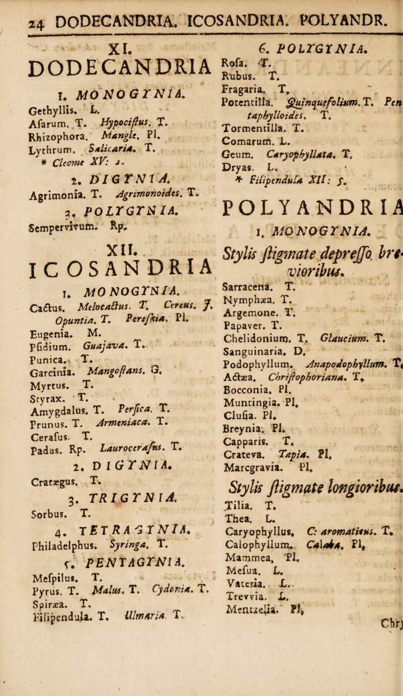 - XI. DODECANDR1A I. MOtiOGTNlA. 6. POLTGXNIA. Gethyllis. L. Alarum, T, Hypociftus, X. Rhizophora. Mangle, PI. Lythrum. $ alie ari a. T. * Cleome XV: j. 2. D I G T N I A, Agrimonia. T. Agrimonoides. T» pozrGrN/4. Sempervivum. Rp. XII. ICOSANDRIA U MO NOGYitIA. Ca&us. Melocaltus. I* Cereus» f, Opuntia. T. Pere/kia. Pi. Eugenia, M. Pfidium. Guajava. T. Punica. T. Garcinia. Mango flans, G. Myrtus. T. Styrax. T. Amygdalus. T. Perfica. T, Prunus. T. Armeniaca. T. Cerafus- T, Padus. Rp. Laurocerafm. T. 2. D iGY NI A. Cratasgus. T. 3. TRlGYNlA Sorbus. T. 4. TlT/?^r,V/^ Philadelphus. Syringa, T. f.' />£7VT,lGrA'lA. Mefpilu*. T. Pyrus. T. Malus. T» Cydonia. T. Spirata. T. Fifipendujla. T. Ulmaria T, Rofa. T. Rubus. T. Fragaria. T, Potentiila. Quinquefolium. T. Pc» tapbylloidts. T. Tormentilla. T. Comarum. L. Geum. Caryopbyllata, Tc Dryas. L. ♦ Filipendula XII: J. POLYANDRIA I, MONOGYNIA. Stylis Jligmate deprejjo bre¬ vioribus. Sarracena. T» Nymphaea. T. Argemone. I*. Papaver. T. Chelidonium. T. Glaucium. T. Sanguinaria. D. Podophyllum. Anapodophyllum. T* A6hea. Cbriftopboriana, T* Bocconia. PI. Muntingia. Pl, Clulia. Pi. Breynia. Pl. Capparis. T, Crateva. Tapia. Pl. Marcgravia. Pl, Stylis jligmate longioribus. Tilia. T. The». L. Caryophyllus, C: aromatitus, T* Calophyiium. Calata. Pl» Matnmea, PI, Mefua. L, Vateria. L. Trevvia. L, Menueiw. Pl»